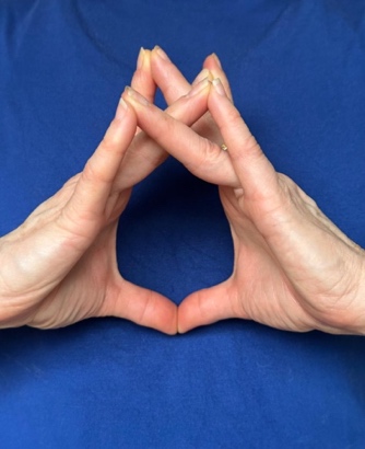 Mudra hands
